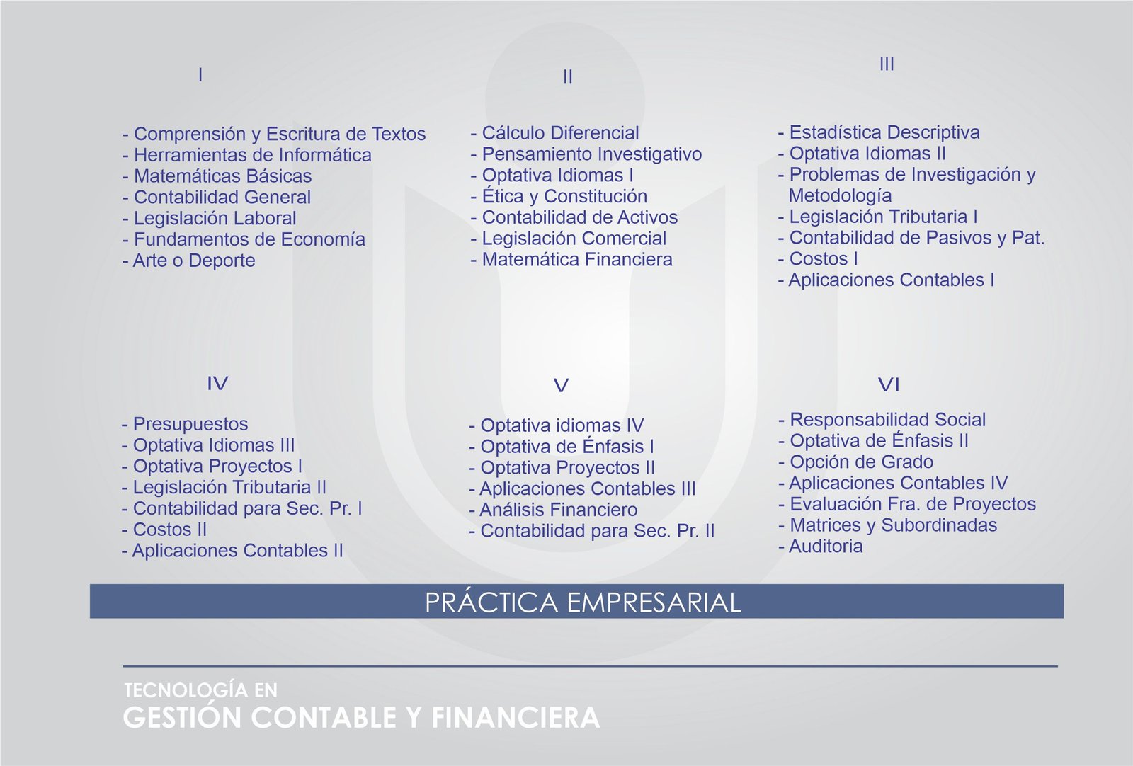 que hace un tecnologo en gestion contable y financiera