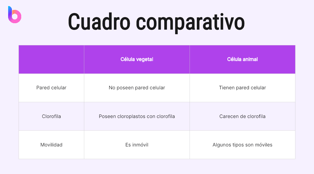 comparacion visual de diferentes tamanos de empresas