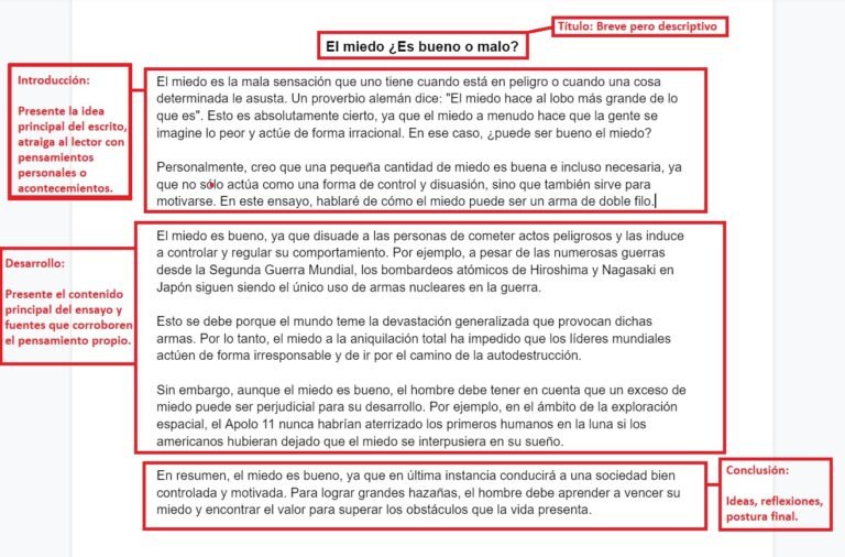 Cómo se debe hacer un ensayo correctamente: Guía paso a paso